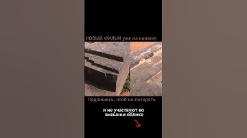 Забытый Пума Пунку