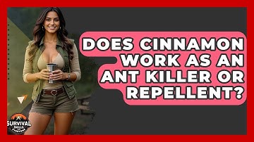 Does Cinnamon Work As An Ant Killer Or Repellent? - Survival Skills for Everyone