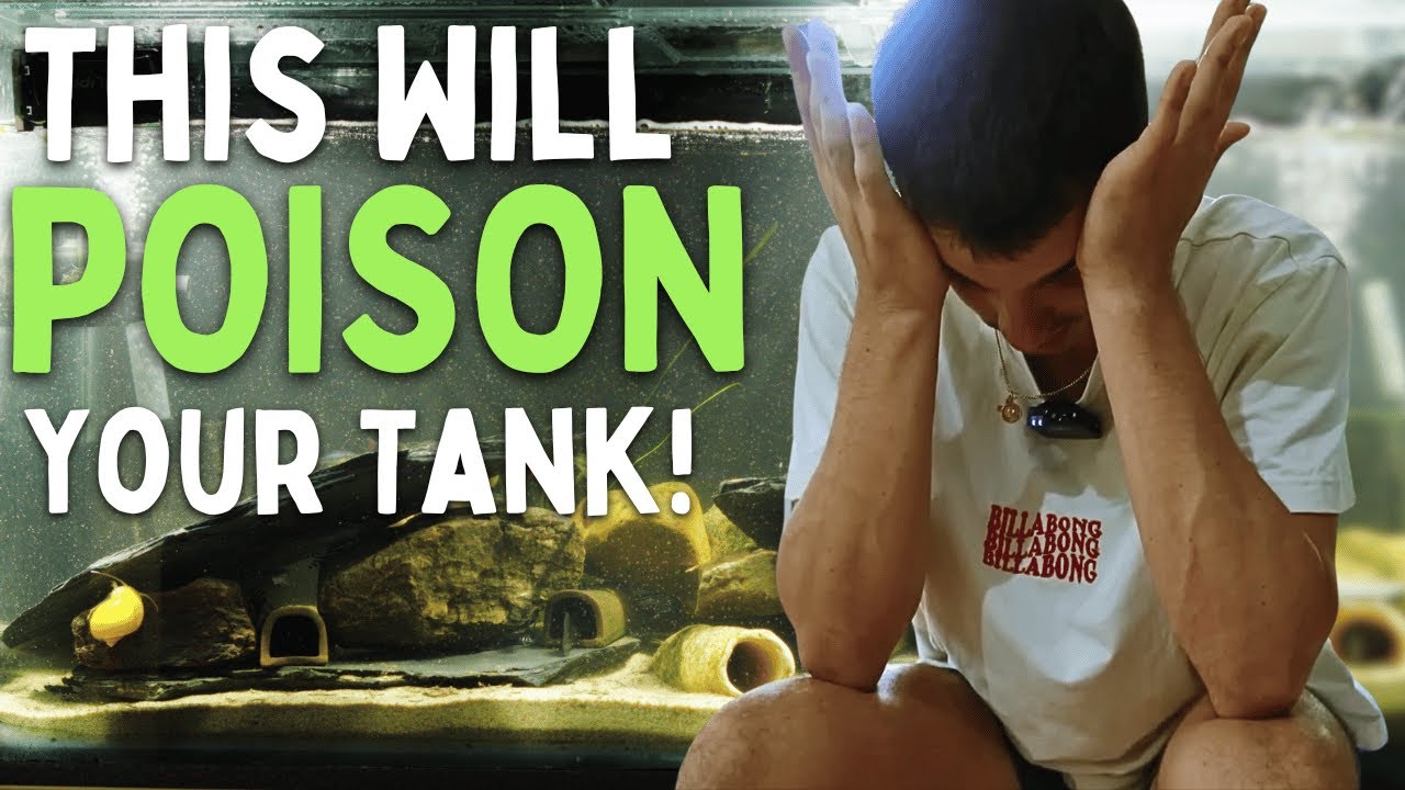 Не совершайте этих ошибок новичков в аквариуме!