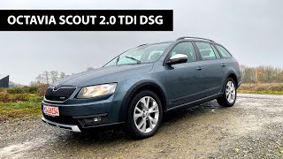 Skoda Octavia Scout - идеальный выбор для украинских дорог