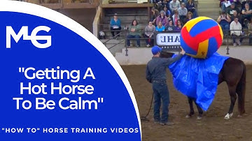 Getting A Hot Horse To Be Calm (Equine Affaire) | The Horse Guru - Michael Gascon