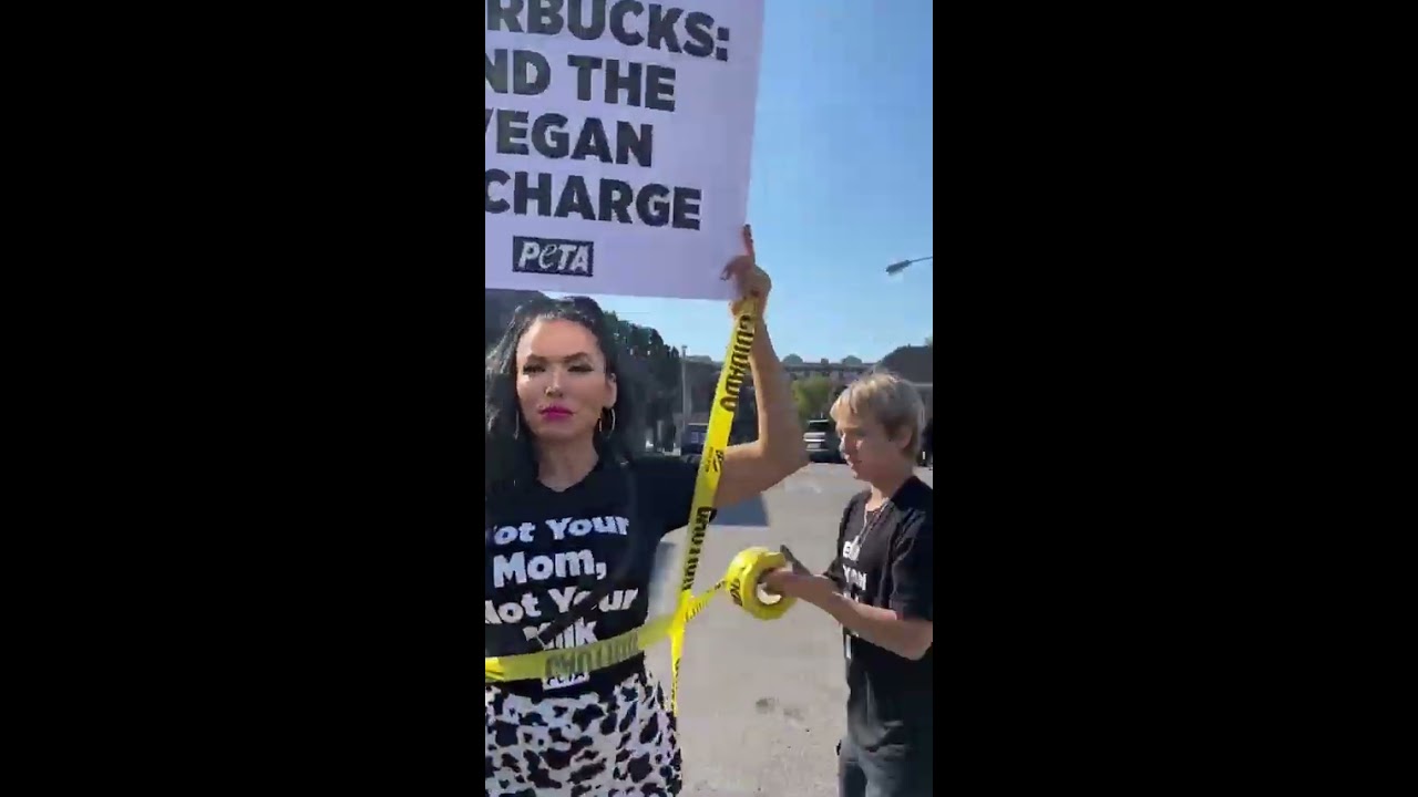 Cement Protest PETA Stands Against Dairy Cruelty At Starbucks