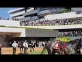 コンジェスタス、京都新聞杯のパドック。現地映像、京都競馬場。