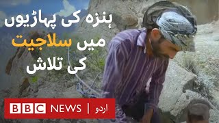 In search of Salajeet in Hunza: An Aphrodisiac, laxative or everything in between? - BBC URDU