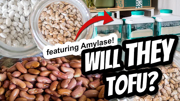 WILL IT TOFU? Great Northerns! Pinto Beans & Kidney (featuring amylase) BY REQUEST