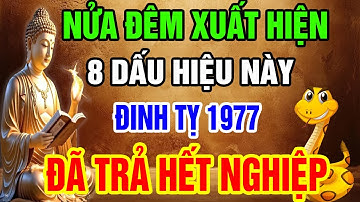 Tuổi Đinh Tỵ 1977 Nửa Đêm Xuất Hiện 8 Dấu Hiệu Này, Báo Hiệu Đã Trả Hết Nghiệp, Phật Trời Độ Trì.