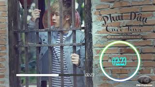 Phai Dấu Cuôc Tình Remix ft Phạm Kỳ Anh | VieMix Music