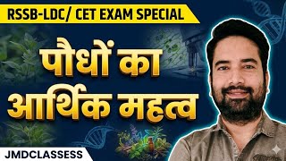 पौधों का आर्थिक महत्व | RSSB LDC / CET Science Classes by #ankursharma | #jmdclassess