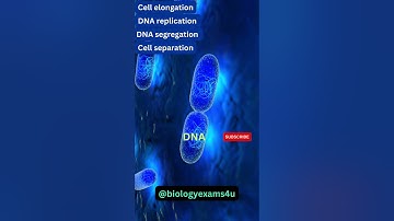 Binary Fission in Bacteria 3D Animation | Microbiology @biologyexams4u