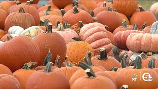 Church creates pumpkin patch to raise money for missions