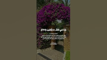 اكتشف نعمة السكينة والهدوء من خلال تلاوة القرآن الكريم  #القرآن_الكريم #المصحف
