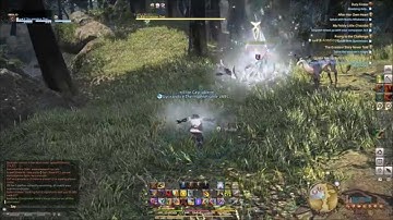 FFXIV Ninjutsu (With Descriptions)