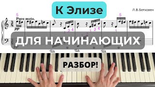 К Элизе Бетховен подробный разбор по нотам 1 часть на фортепиано, пианино | как играть к Элизе