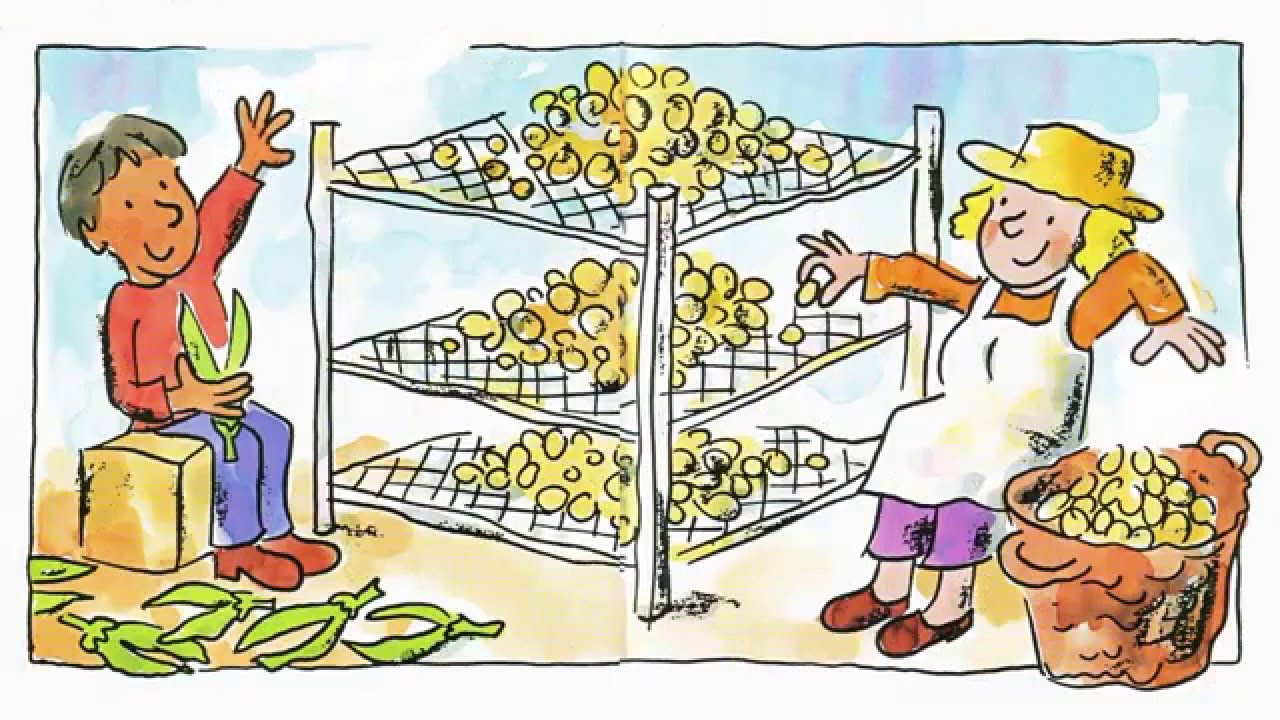 Children Stories: Beans on  Toast / Robertson School of English E-books