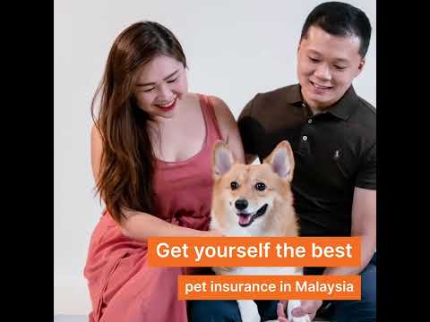 Malaysia's Best Pet Insurance - Claim Up To RM8,000 For Your Vet Bills