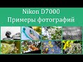 Nikon D7000, на что способна 11-летняя зеркальная камера в 2021 году. Примеры фотографий.