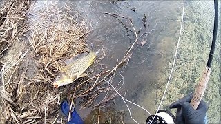 nureunmineul's fly fishing (geukrak river 20160131)