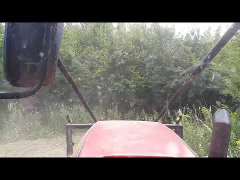 Mtz 1025.4 erdészeti