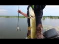 Щука на TsuYoki RODGER | Рыбалка на озеро Неро