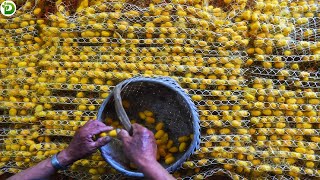 Download lagu Revealing the Chinese Farmer's Million-Dollar Way Of Harvesting Golden Cocoons