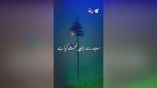 E Zareen Jameel Bayan, Masood Bayan