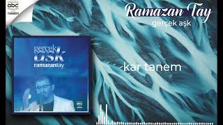 Ramazan Tay - Kar Tanem Resimi