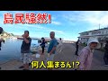 誰も釣りしない家の前の水深2mの船着き場で釣りしたらまさかの釣果に人だかりが…(Vol.611)