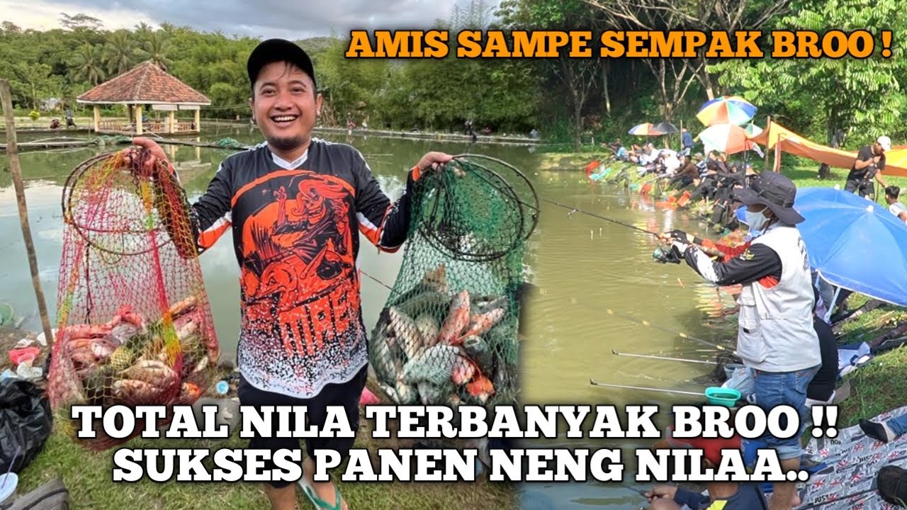 BORONGAN 12 JUTA ! SUKSES RAMPOG NILA SAMPE 40KG BROO !! KORANG NILA ON FIREE !!