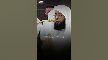 تلاوة رائعة من سورة نوح | بدر التركي | #اكسبلور