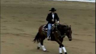 Rudy Bridleless Freestyle