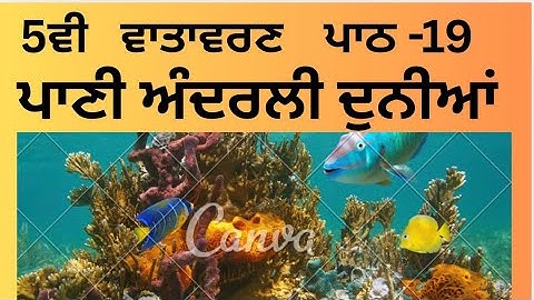 5th CLASS EVS LESSON-19 (ਪਾਣੀ ਅੰਦਰਲੀ ਦੁਨੀਆਂ ) BOOK READING, EASY SOLVED ANSWERS 