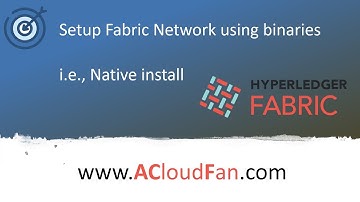 Native Hyperledger Fabric Setup