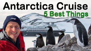 The 5 Best (And Unexpected) Things About An Antarctica Cruise.