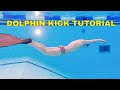 How to swim dolphin kick - swimming tutorial for beginners