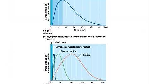 Anatomy and Physiology Chapter 9 Part 2 Muscle contractions.