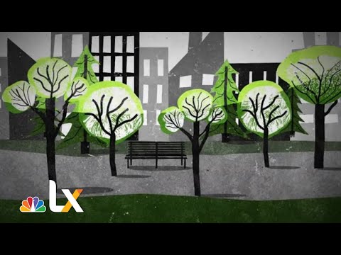 Video: Williamsburg, Brooklyn Parks at Green Spaces