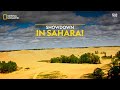 Showdown in Sahara! | Animal Fight Night | Full Episode | S3 - E1 | Nat Geo Wild