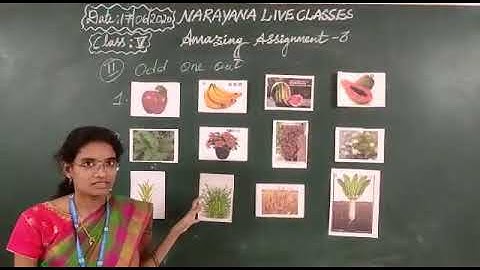 AP & TS CLASS V SCIENCE ASSIGNMENT VIDEO DAY 3