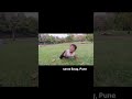 Beautiful Moments with My Son 👶 | Pune Garden Vlog