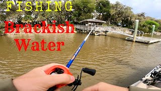 Brackish Water Fishing for Bass,Reds,Trout (Ogeechee River)