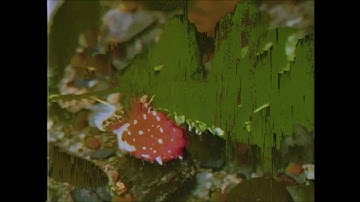 AE Pixel Sorter Test