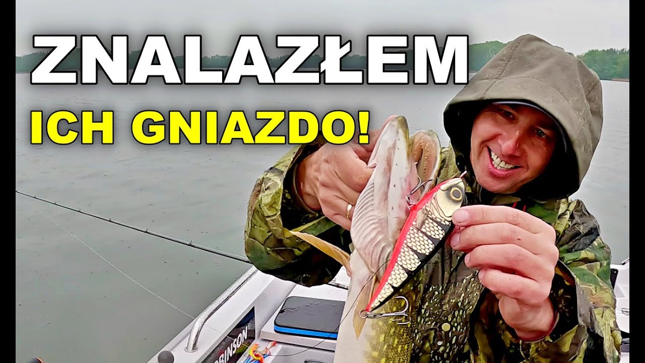 Kalendarz bran szczupaka listopad 2023 2