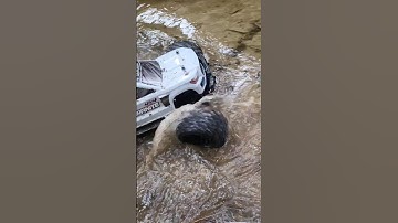 rc truck driving in water arrma granite 4x4 #fun #offroad #rccars