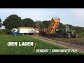 Uien laden 2021 - Loading onions - Amac - New Holland + Beco - FORD | Uienoogst | Onion harvest | NL