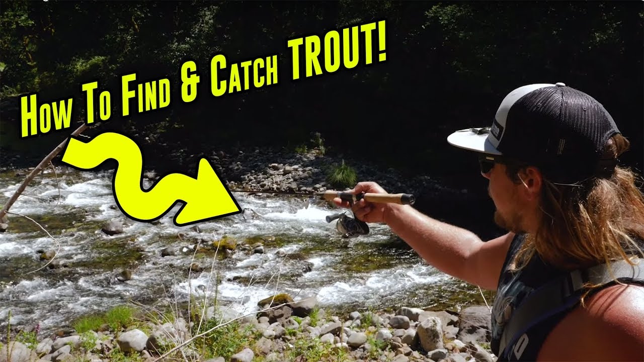 TOP 3 Trout Fishing Tactics For Creeks & Rivers (IN DEPTH HOW TO