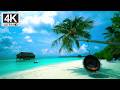1 Hour Tropical Paradise I Turquoise Sea, Forest & Handpan Relaxing Music.#MeditationMusic