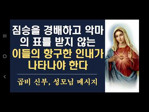 영상썸네일