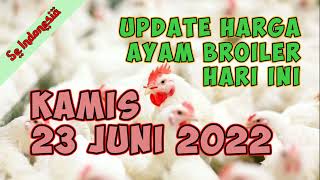 Harga Ayam Broiler Hari Ini Kamis 28 Juli 2022. 