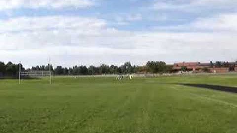 Blade 400 - First Hover