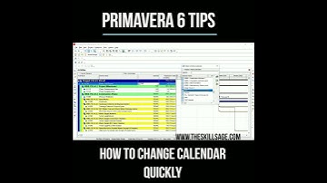 How to change calendar in your Primavera p6 Project Plan? |Primavera6 Tips| #PlanningControl